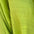 izela-casual-shirt-shorts-set-green