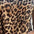marmarela-effortless-v-neck-jumpsuit-leopard-brown